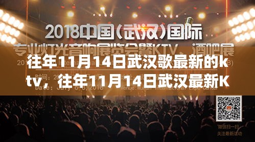 往年11月14日武漢KTV深度體驗(yàn)與評(píng)測(cè)，最新場(chǎng)所及感受分享