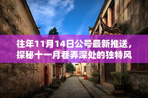 揭秘十一月巷弄深處的隱藏特色小店，獨特風(fēng)味揭曉日