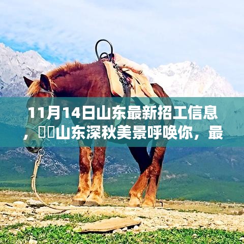 山東最新招工信息帶你領(lǐng)略深秋美景的心靈之旅啟程招募！