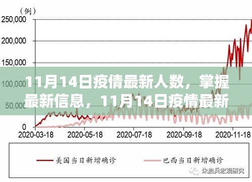 11月14日疫情最新人數(shù)查詢指南，掌握最新信息