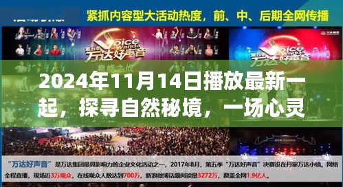 探尋自然秘境，心靈之旅啟程于2024年11月14日