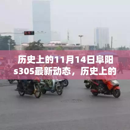 歷史上的11月14日阜陽S305最新動(dòng)態(tài)深度解析，聚焦三大要點(diǎn)揭秘最新進(jìn)展與動(dòng)態(tài)更新