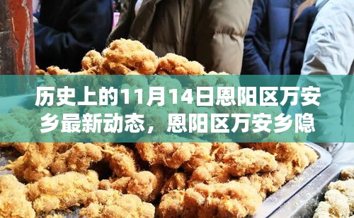 恩陽(yáng)區(qū)萬(wàn)安鄉(xiāng)隱秘小巷的百年風(fēng)味揭秘，最新動(dòng)態(tài)報(bào)道在11月14日