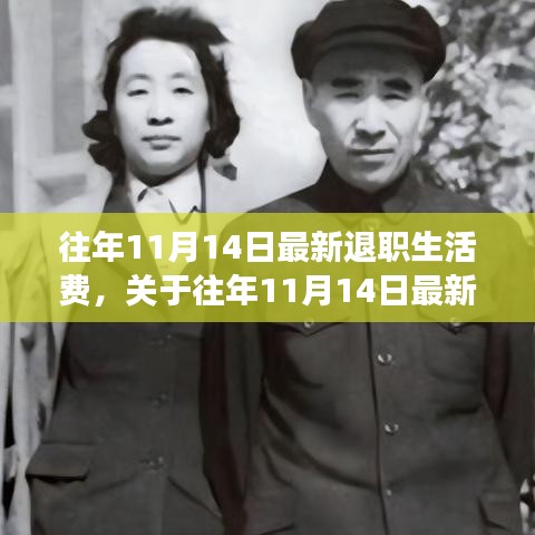往年11月14日退職生活費調(diào)整解讀與展望，最新政策分析與生活費趨勢展望