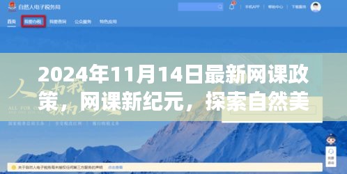 2024網(wǎng)課新紀(jì)元，探索自然美景與心靈之旅的新課標(biāo)