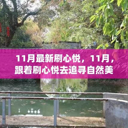 11月心悅之旅，追尋自然美景的詩(shī)意之旅