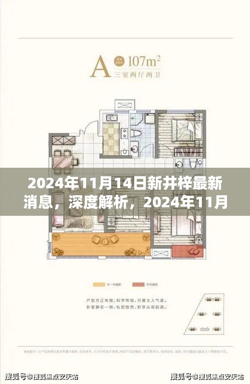 深度解析，2024年11月14日新井梓產(chǎn)品最新消息揭秘，特性、用戶體驗(yàn)與目標(biāo)用戶群體探討