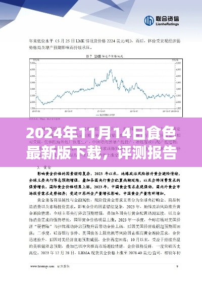 深度評測報告，2024年食色最新版下載解析