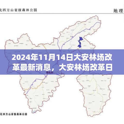 大安林場改革故事會，最新消息與溫馨改革之旅（2024年11月14日）