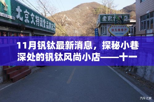 探秘小巷深處的釩鈦風(fēng)尚小店，揭秘十一月最新動態(tài)