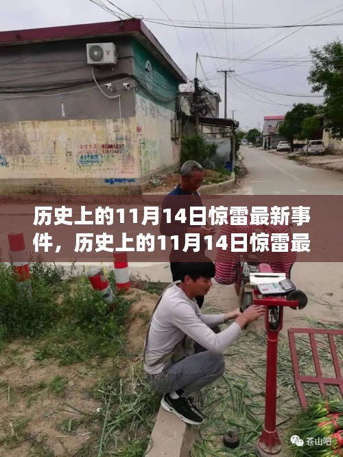 歷史上的11月14日驚雷事件，全面評測與深度介紹