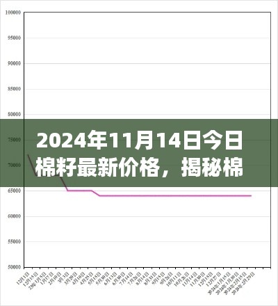 揭秘棉籽市場走勢，最新價(jià)格動態(tài)分析與預(yù)測（2024年11月14日）