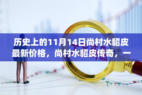 溫馨探秘之旅，尚村水貂皮傳奇與最新價格揭秘（歷史篇）