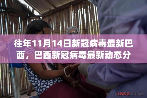 歷年11月14日巴西新冠病毒動(dòng)態(tài)分析，最新數(shù)據(jù)與趨勢(shì)探討
