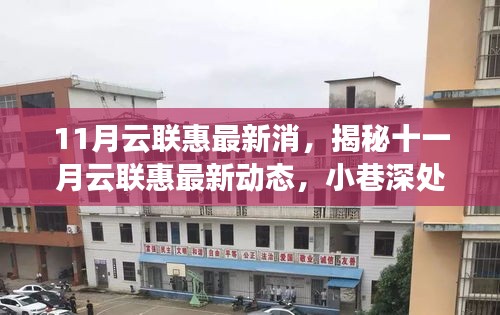 揭秘十一月云聯(lián)惠最新動態(tài)，小巷特色小店深度探索