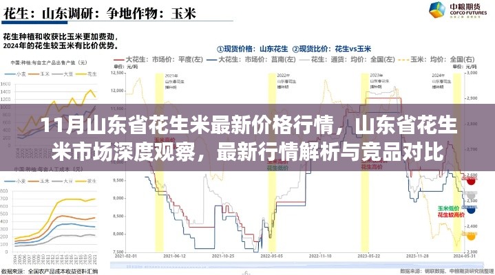 11月山東省花生米最新價(jià)格行情，山東省花生米市場(chǎng)深度觀察，最新行情解析與競(jìng)品對(duì)比