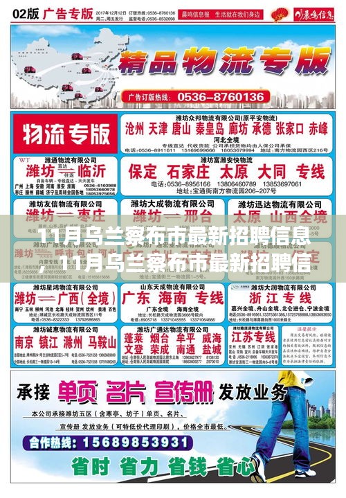 11月烏蘭察布市最新招聘信息匯總，職場人的機(jī)會來了！