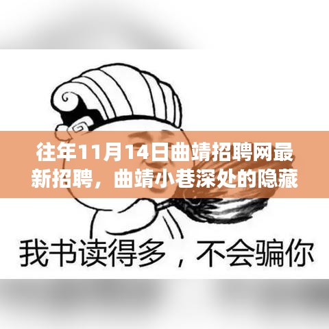 曲靖招聘網(wǎng)獨家揭秘，小巷深處的隱藏瑰寶，特色小店奇妙招聘之旅啟幕