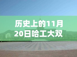 哈工大雙一流最新消息及歷史進(jìn)展詳解，獲取全攻略與重要進(jìn)展回顧