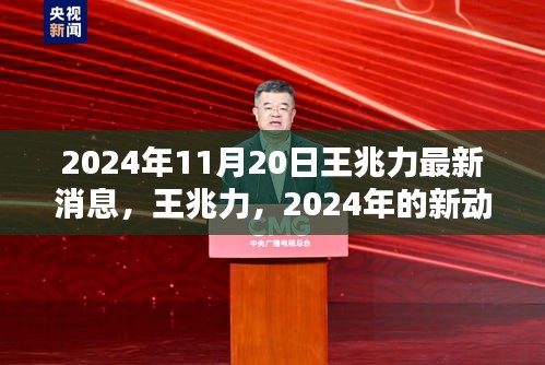 王兆力最新動向與時(shí)代印記，2024年展望