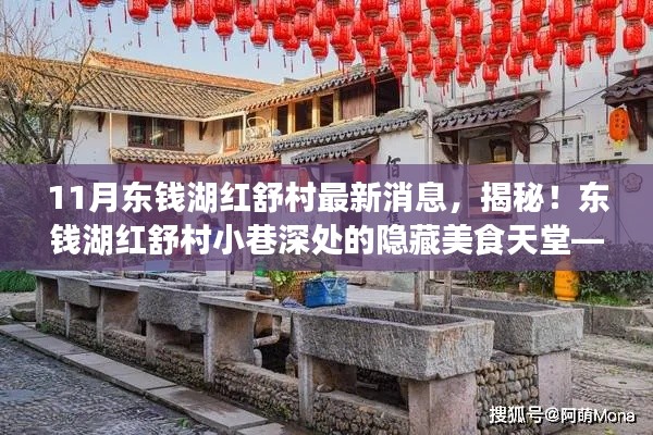 揭秘東錢(qián)湖紅舒村最新動(dòng)態(tài)，小巷美食天堂獨(dú)家報(bào)道