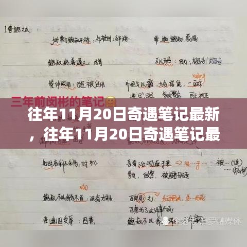 揭秘往年11月20日奇遇筆記，意想不到的旅程揭秘最新動態(tài)