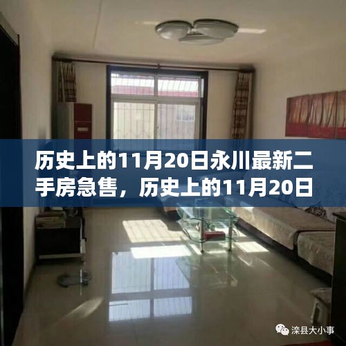 歷史上的11月20日永川最新二手房急售，歷史上的11月20日，永川二手房市場急售現(xiàn)象深度解析