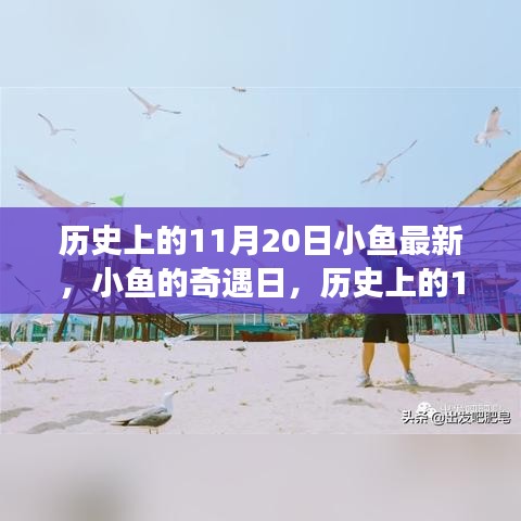 歷史上的11月20日，小魚奇遇日的溫馨小事回顧
