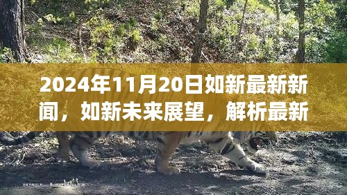 2024年如新最新新聞動態(tài)及未來展望，解析最新動態(tài)與觀點分歧