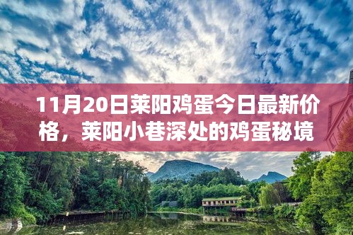 萊陽雞蛋最新價(jià)格揭秘，小巷深處的特色小店與雞蛋秘境探索