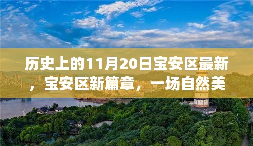 寶安區(qū)新篇章啟程，探尋自然美景之旅，溫暖陽光下的寶安區(qū)探尋日（11月20日）