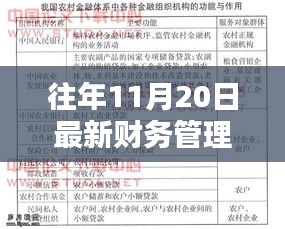 往年11月最新財(cái)務(wù)管理制度范本及小巷特色小店探秘，揭示獨(dú)特魅力與制度范本大全
