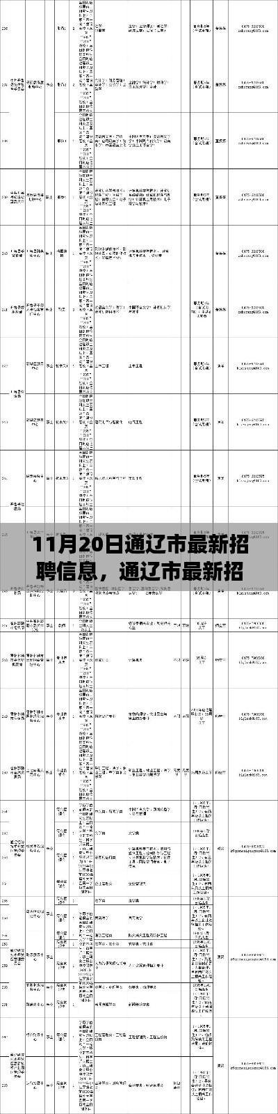 通遼市最新招聘信息概覽，職場人的福音（11月20日更新）