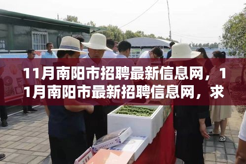 11月南陽市最新招聘信息大全，求職招聘黃金季節(jié)