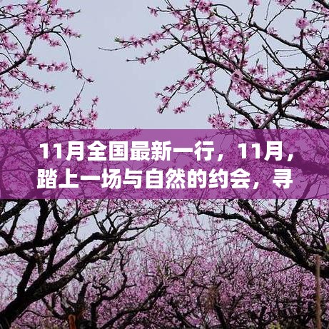 11月踏自然之旅，內(nèi)心的桃花源探尋記