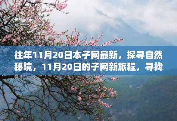 往年11月20日本子網(wǎng)最新，探尋自然秘境，11月20日的子網(wǎng)新旅程，尋找內心的桃花源