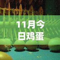 11月雞蛋價格最新行情解析，多方觀點交織的思考
