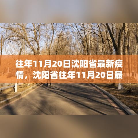 沈陽歷年11月20日疫情概況及防控進(jìn)展詳解，最新動(dòng)態(tài)與防控要點(diǎn)全解析