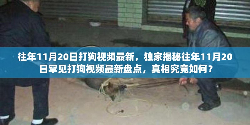 獨家揭秘，往年11月20日罕見打狗事件回顧與最新視頻盤點，真相揭秘！