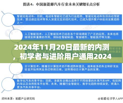 初學者與進階用戶通用，最新內測任務完成指南（2024年11月20日版）