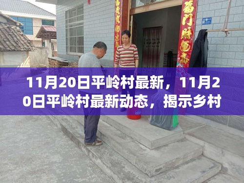 11月20日平嶺村最新，11月20日平嶺村最新動態(tài)，揭示鄉(xiāng)村發(fā)展的時代脈搏