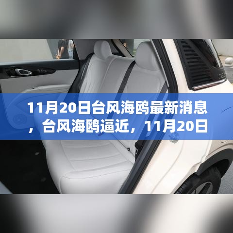 臺風海鷗逼近，最新動態(tài)及應(yīng)對指南（11月20日更新）