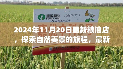 探索自然美景的旅程，最新糧油店與內(nèi)心的寧靜時(shí)光