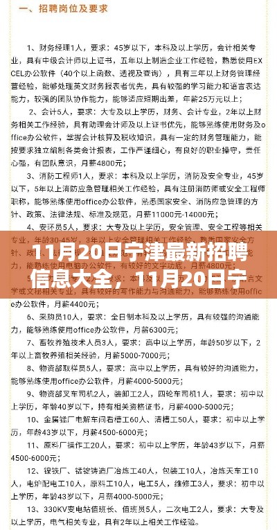 11月20日寧津最新招聘信息匯總，全面解讀招聘平臺(tái)特性與體驗(yàn)