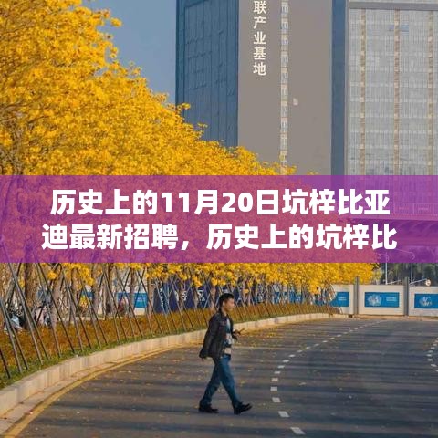 坑梓比亞迪招聘高峰日揭秘，探尋歷史招聘足跡下的11月20日