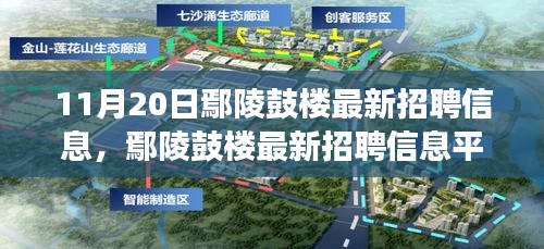 11月20日鄢陵鼓樓最新招聘信息及平臺深度評測，特性、體驗與用戶洞察