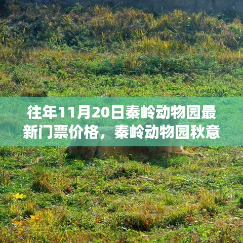 秦嶺動(dòng)物園秋意濃時(shí)啟幕，探尋自然美景之旅與最新門票價(jià)格發(fā)布！