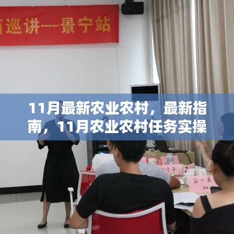 11月農(nóng)業(yè)農(nóng)村實(shí)操指南，任務(wù)步驟詳解，適合初學(xué)者與進(jìn)階用戶