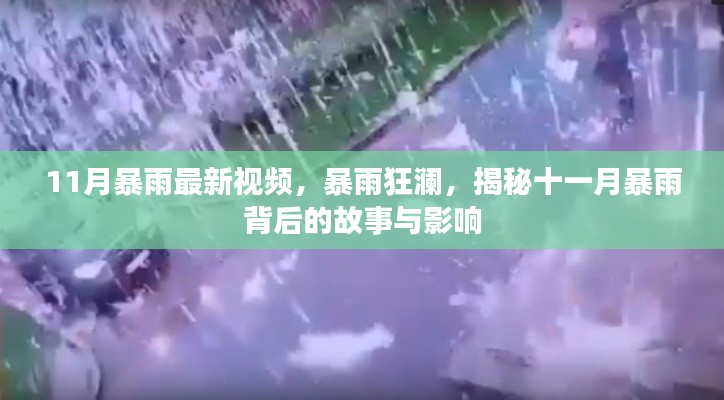 揭秘十一月暴雨背后的故事與影響，暴雨狂瀾最新視頻報道