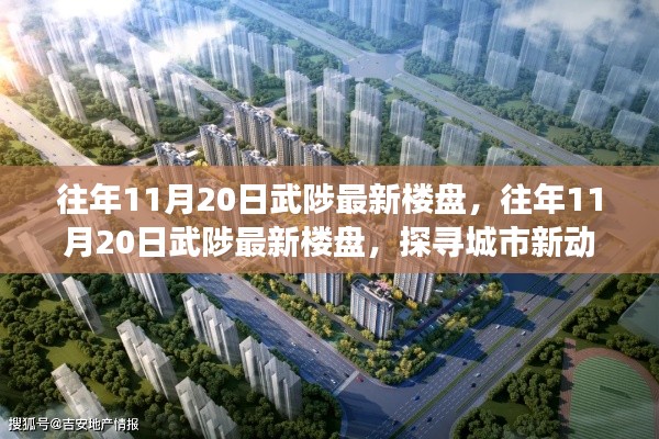 往年11月20日武陟最新樓盤深度解析，探尋城市新動力，解讀未來生活藍圖